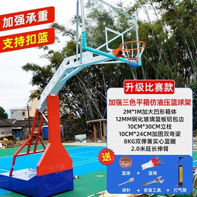 亲测2025篮球架TOP5，案例分享选哪家更专业