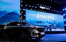 2月卖得最好的十大车企：吉利排第一，奇瑞排第三