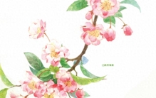 带着杂志去旅行