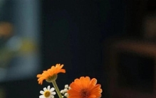 管住嘴（方寸得失）