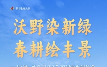 沃野染新绿 春耕绘丰景——从春耕一线看“十五五”开局农业生产新气象