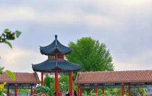 菏泽藏5个世界之最！看完太震撼