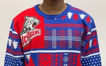 2025年TOP排行分享