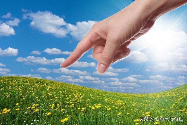 植物冷知识！这20条关于花草树木的真相，人类花了上千年才发现