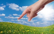 植物冷知识！这20条关于花草树木的真相，人类花了上千年才发现