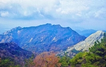 临沂藏5个世界之最！吉尼斯认证超震撼