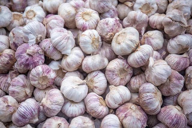 蔬菜界一哥——蒜
