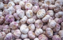 蔬菜界一哥——蒜