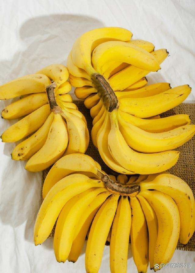 香蕉为什么是弯的?这个“追光者”的故事,藏着植物生存的大智慧