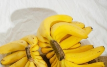 香蕉为什么是弯的？这个“追光者”的故事，藏着植物生存的大智慧