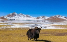 邂逅秘境，西藏那曲中国之最，是自然写给世界的情书