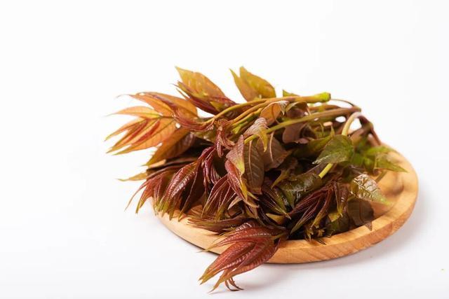 春季养生应该吃些什么