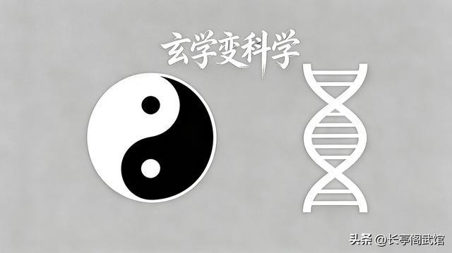 人体最高级的阴阳,不是五行,是神经