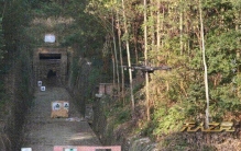 中国机器狼群技术领先美军哪些方面？