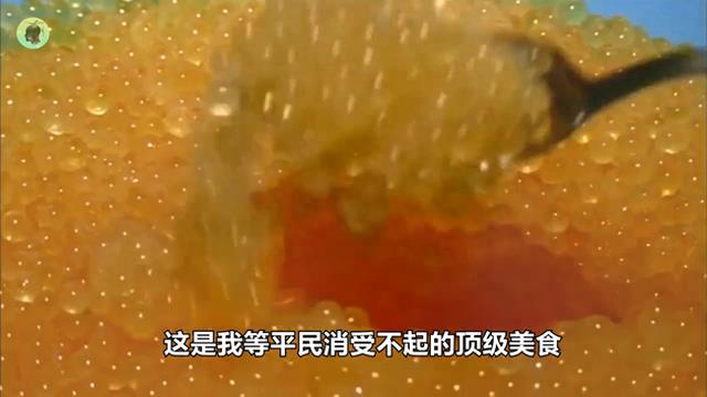 世界上最贵的美食，要等待100年才能上餐桌，黄金鱼卵贵在哪？