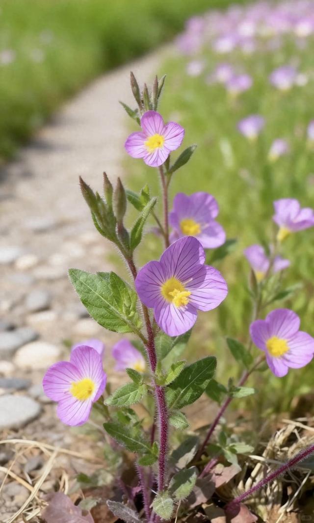 世界上最痛苦的事，就是笑脸相迎你最讨厌的人。