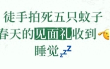 春雷一响，蚊子“复活”！现在灭1只=夏天少1000只，速看攻略
