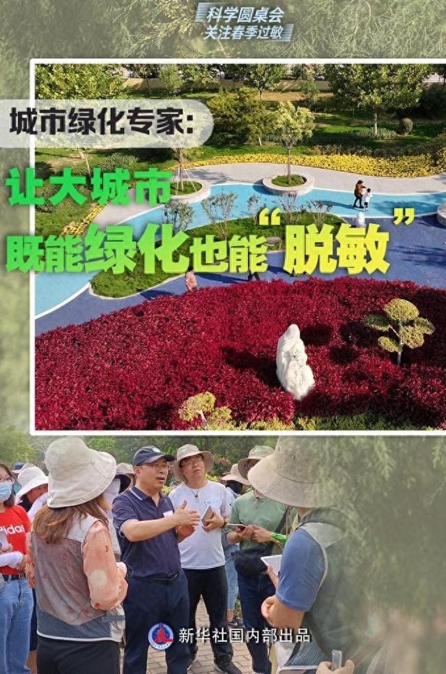 科学圆桌会·关注春季过敏丨城市绿化专家：让大城市既能绿化也能“脱敏”