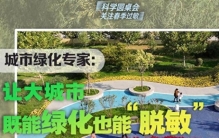 科学圆桌会·关注春季过敏丨城市绿化专家：让大城市既能绿化也能“脱敏”