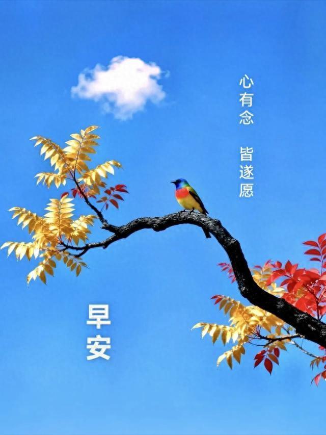 世上最重要的事不在于我们在何处，而在于我们朝着什么方向走早安