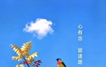 世上最重要的事不在于我们在何处，而在于我们朝着什么方向走早安