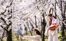 唠“科”话丨让人过敏的彼“花”，不是你我拍照观赏的此“花”