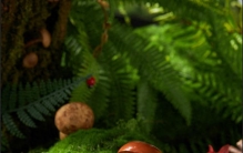 探讨食品企业前十排名榜单，说说高性价比品牌怎么选择