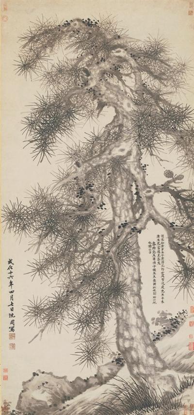 清明时节,感受草木里的生命美学