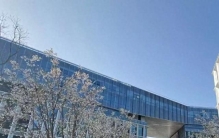 口碑好的南京国产办公厂家