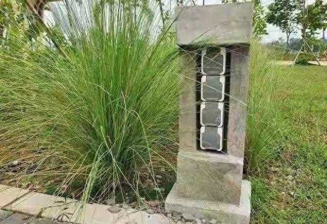 祖坟长这3种草，后代必出贵人