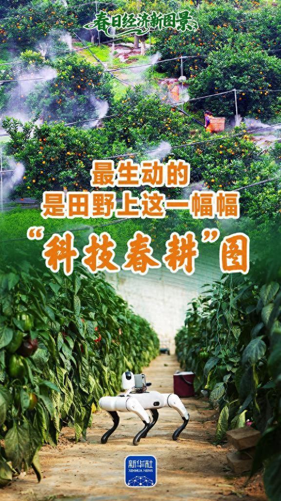春日经济新图景丨最生动的，是田野上这一幅幅“科技春耕”图！