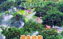 春日经济新图景丨最生动的，是田野上这一幅幅“科技春耕”图！