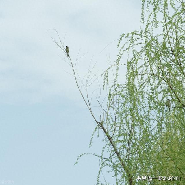 春日封神！中国内地十大必游景点