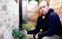 欧洲人的噩梦，花138亿都消灭不了的植物，在我国却需要大量种植