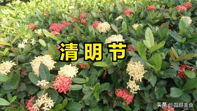 4月5号清明节,民间都有传统习俗?很多年轻人还不知道,建议了解