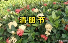 4月5号清明节，民间都有传统习俗？很多年轻人还不知道，建议了解