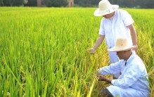 日本正在“加速死亡”，未来三五年，世界将亲眼见证这一切的到来