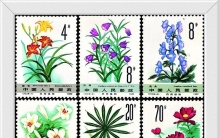 方寸藏百草，药香传千年：从T72邮票看中国药用植物的古今与未来