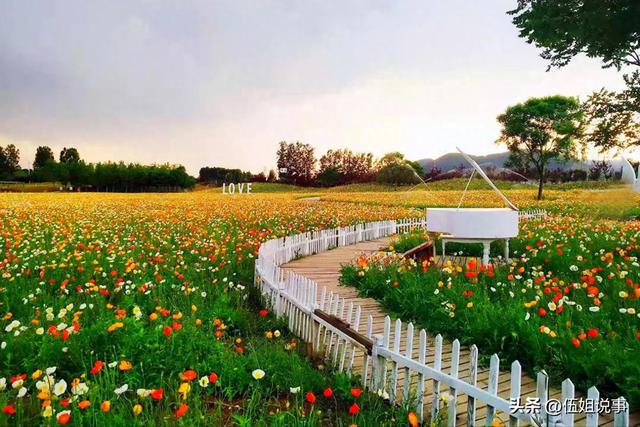 世界上最残忍的事，不是没遇到爱的人，而是遇到却最终错