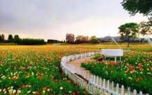 世界上最残忍的事，不是没遇到爱的人，而是遇到却最终错