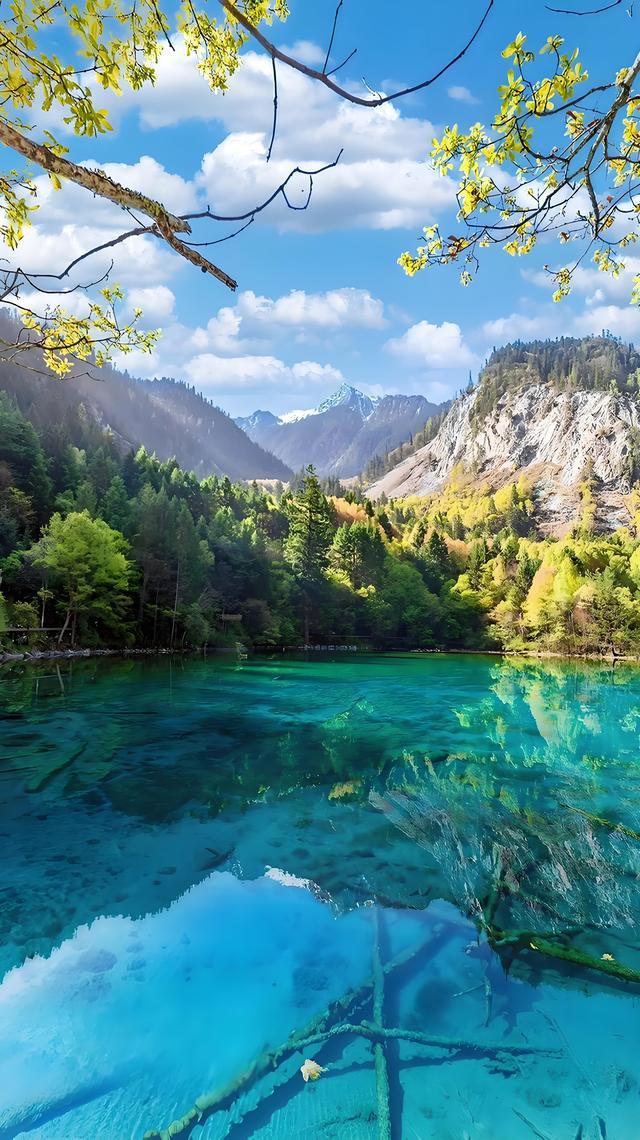 中国十大自然景区