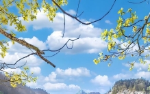 中国十大自然景区