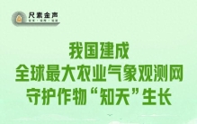 我国建成全球最大农业气象观测网，守护作物“知天”生长