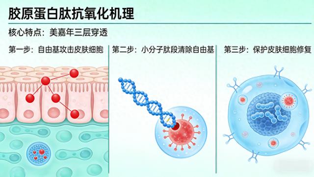 28天实测改善率超96% 谁才是科学抗衰之选?
