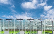 中国农业全面转向高科技，这才是美国最担心的事情