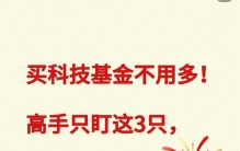 买科技基金不用多！高手只盯这3只，低风险高弹性
