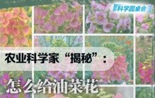 科学圆桌会丨农业科学家“揭秘”：怎么给油菜花“绘”出80种色彩