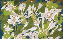 著名画家黄永玉生前的这个愿望，在苏州实现了