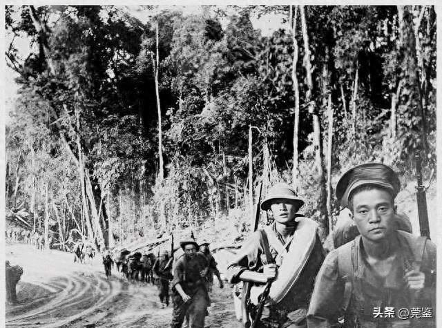 野人山：中国远征军的绿色炼狱，三万将士入山，仅数千生还的噩梦