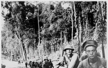 野人山：中国远征军的绿色炼狱，三万将士入山，仅数千生还的噩梦